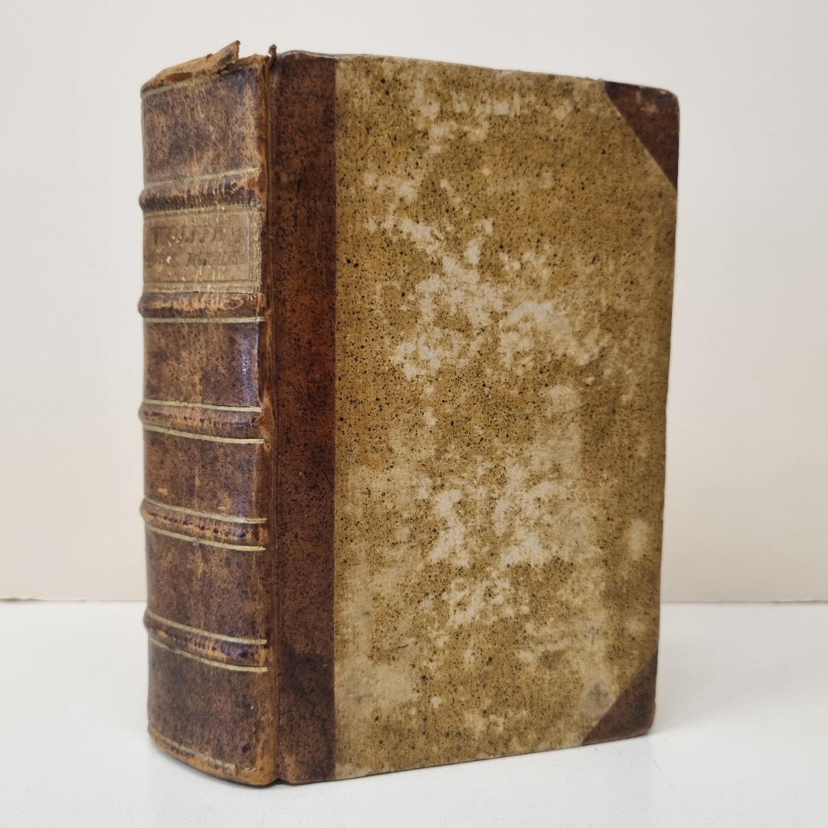 Daria Astrakhantseva porno rasmlar